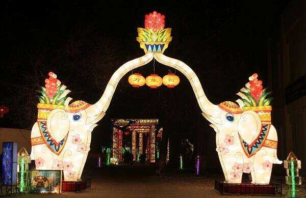 2008年齐齐哈尔龙沙灯会(图4)