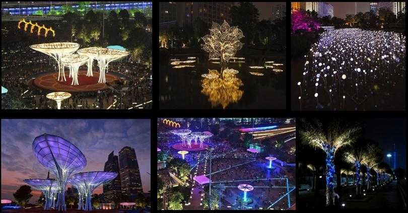 2012广州光雕节(图1)