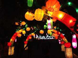 2014湖北灯会展示(图3)