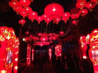 2014湖北灯会展示(图4)