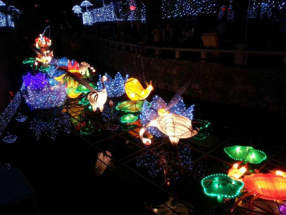 2014河北灯会展示(图3)