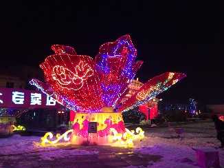 2014山西灯会展示(图4)