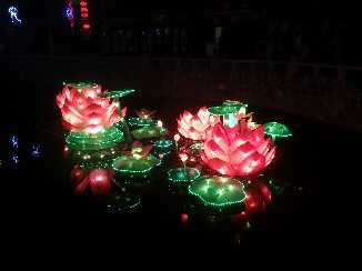 2014河北灯会展示(图5)