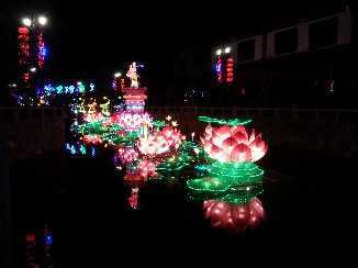 2014河北灯会展示(图10)