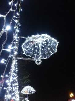 2014河北灯会展示(图11)