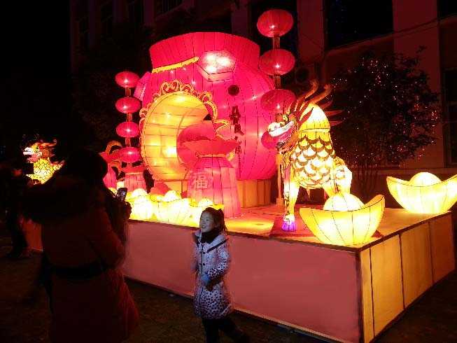 2014湖北灯会展示(图5)