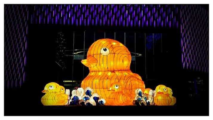 “2015”四海彩灯继续前行(图2)