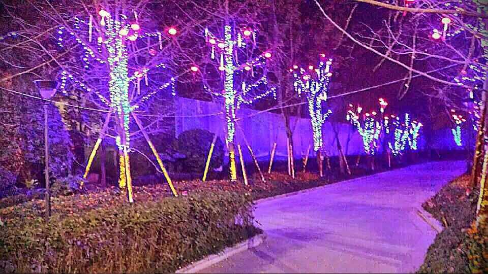 “2015”四海彩灯继续前行(图3)