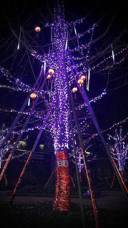 “2015”四海彩灯继续前行(图4)