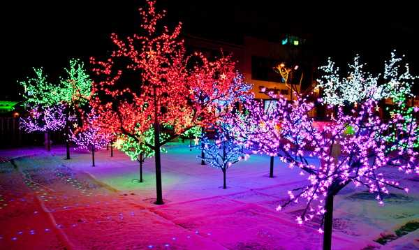 2015四海彩灯——重庆篇(图2)