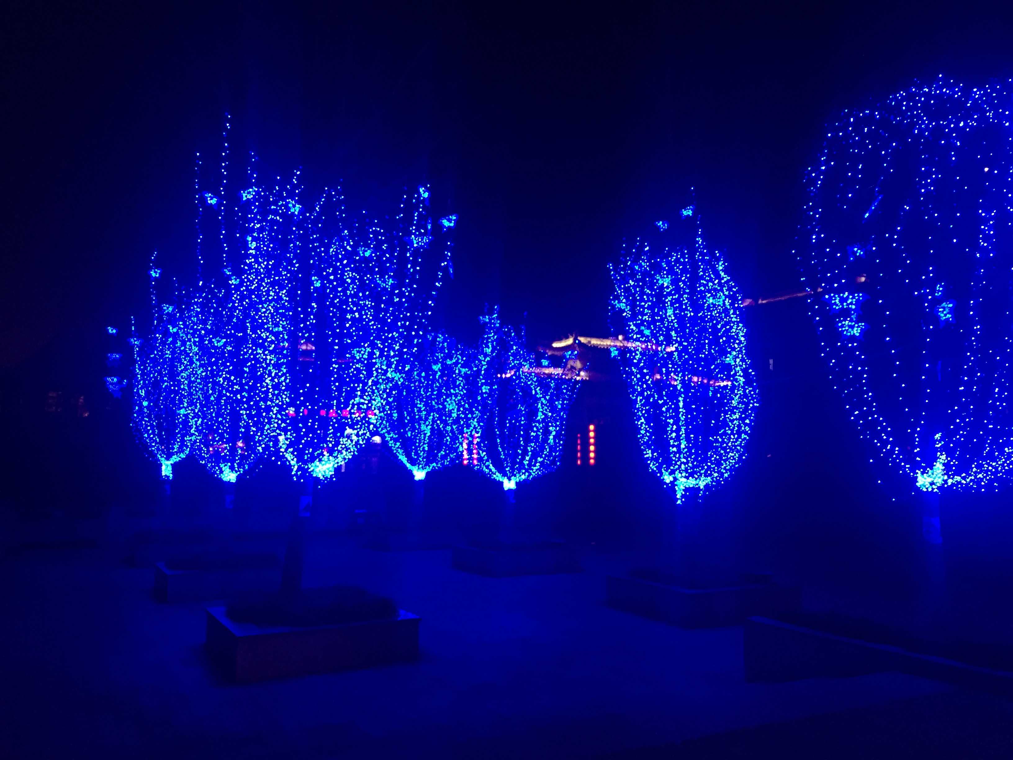 2015四海彩灯——重庆篇(图3)