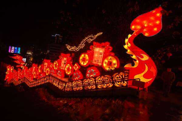 2008年第十四届自贡国际恐龙灯会(图4)