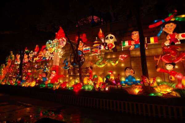 2008年第十四届自贡国际恐龙灯会(图5)