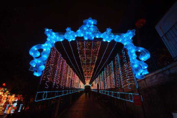 2008年第十四届自贡国际恐龙灯会(图6)