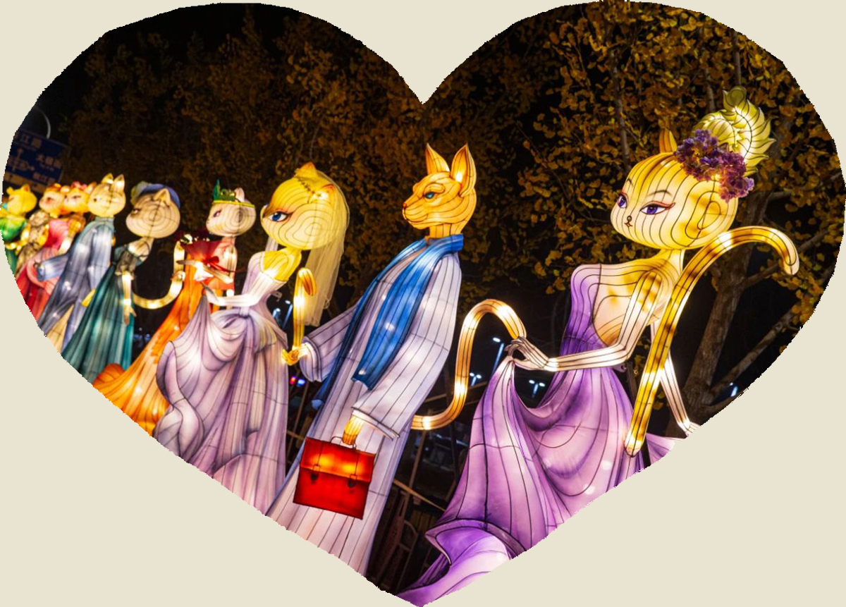 用彩灯来表达情感，构建一个宠爱宠物的梦想(图4)