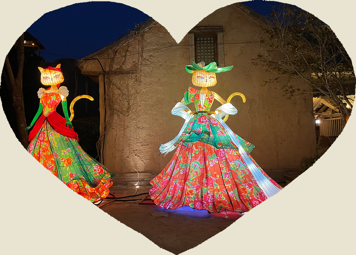 用彩灯来表达情感，构建一个宠爱宠物的梦想(图2)