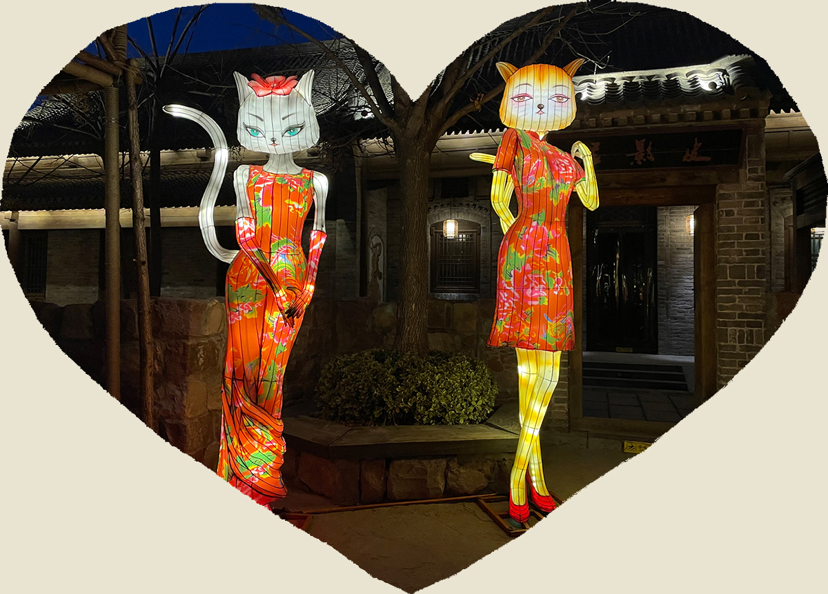 用彩灯来表达情感，构建一个宠爱宠物的梦想(图1)