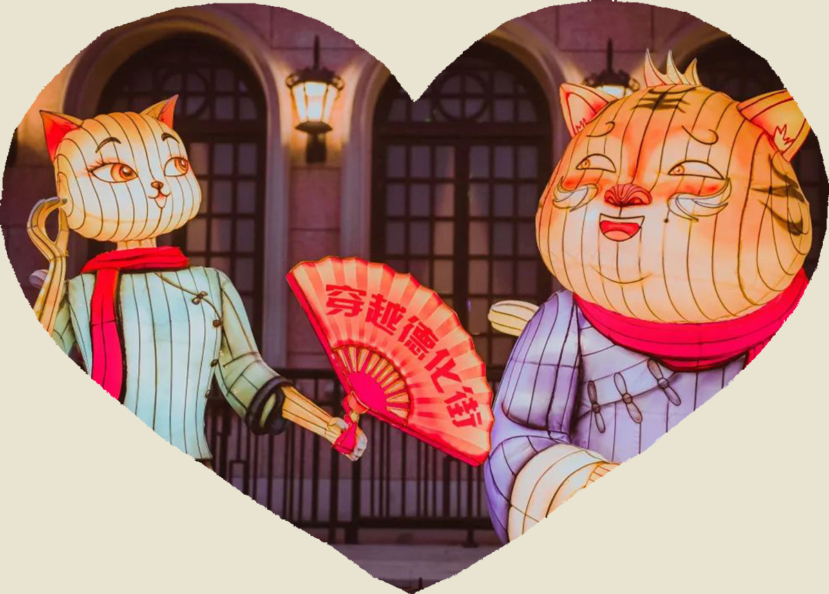 用彩灯来表达情感，构建一个宠爱宠物的梦想(图3)